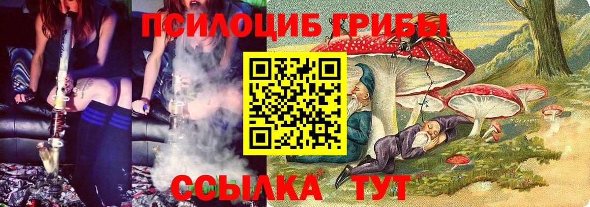 Псилоцибиновые грибы ЛСД  сколько стоит  Псилоцибиновые грибы Psilocybine cubensis  Лесосибирск  Вход с VPN 