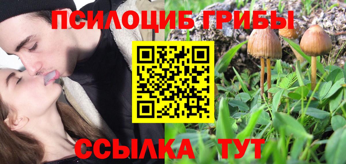 Псилоцибиновые грибы GOLDEN TEACHER Лесосибирск
